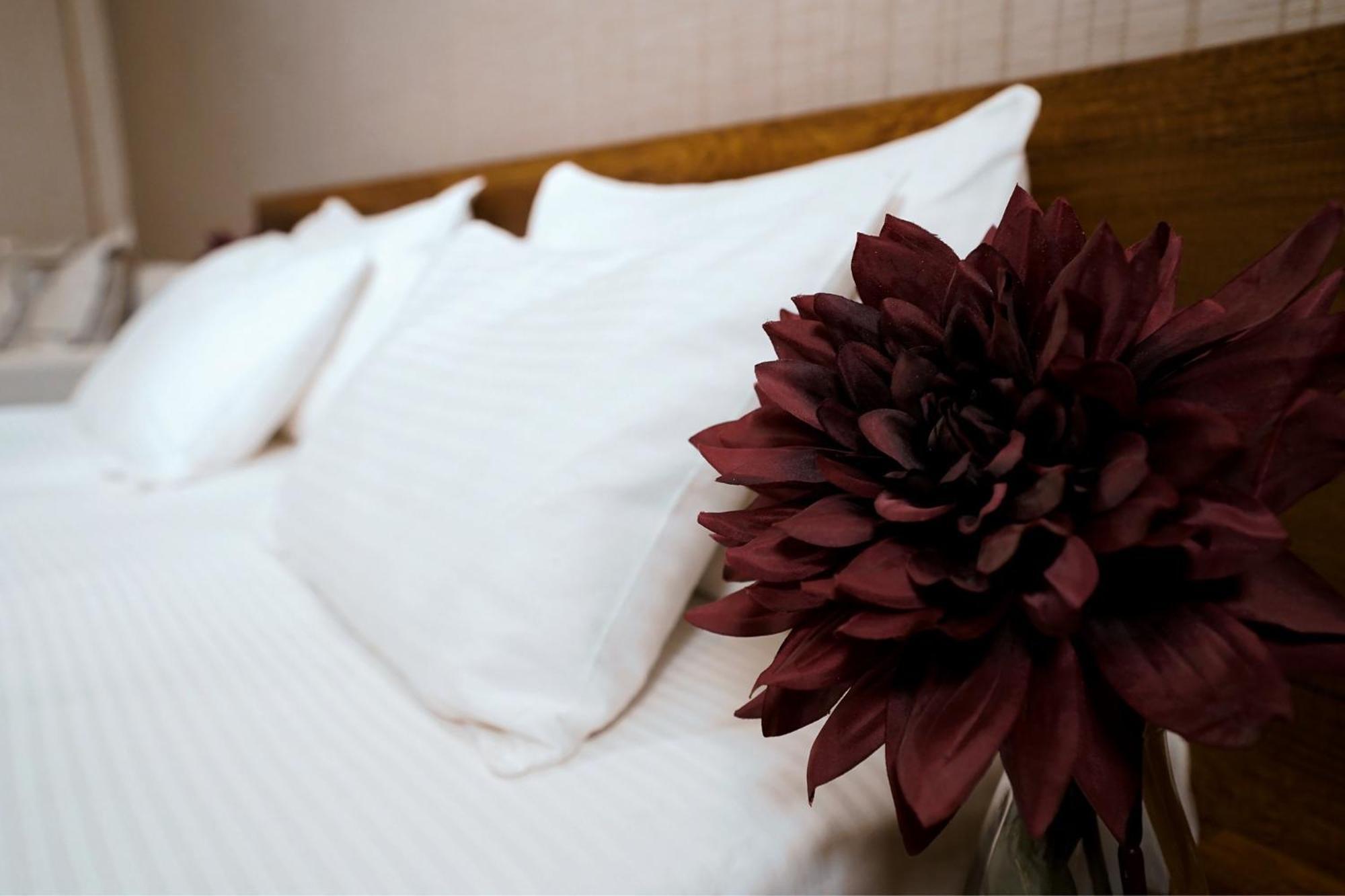 Loft Hotel Bakuriani Kültér fotó